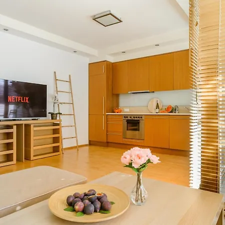 Lumina With A Large Balcony Near Presidential Palace And River * ワルシャワ