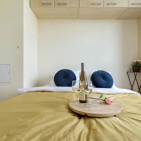 Apartment Lumina With A Large Balcony Near Presidential Palace And River *